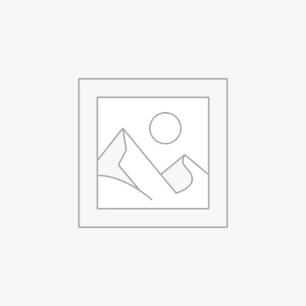 Consumer Electronics